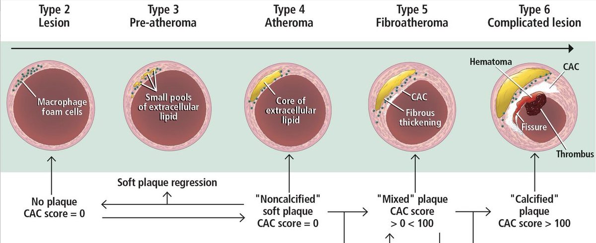 Dr Paddy Barrett tweet media