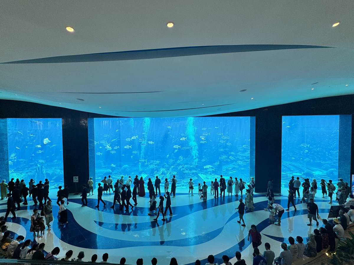 Paul Lin tweet media