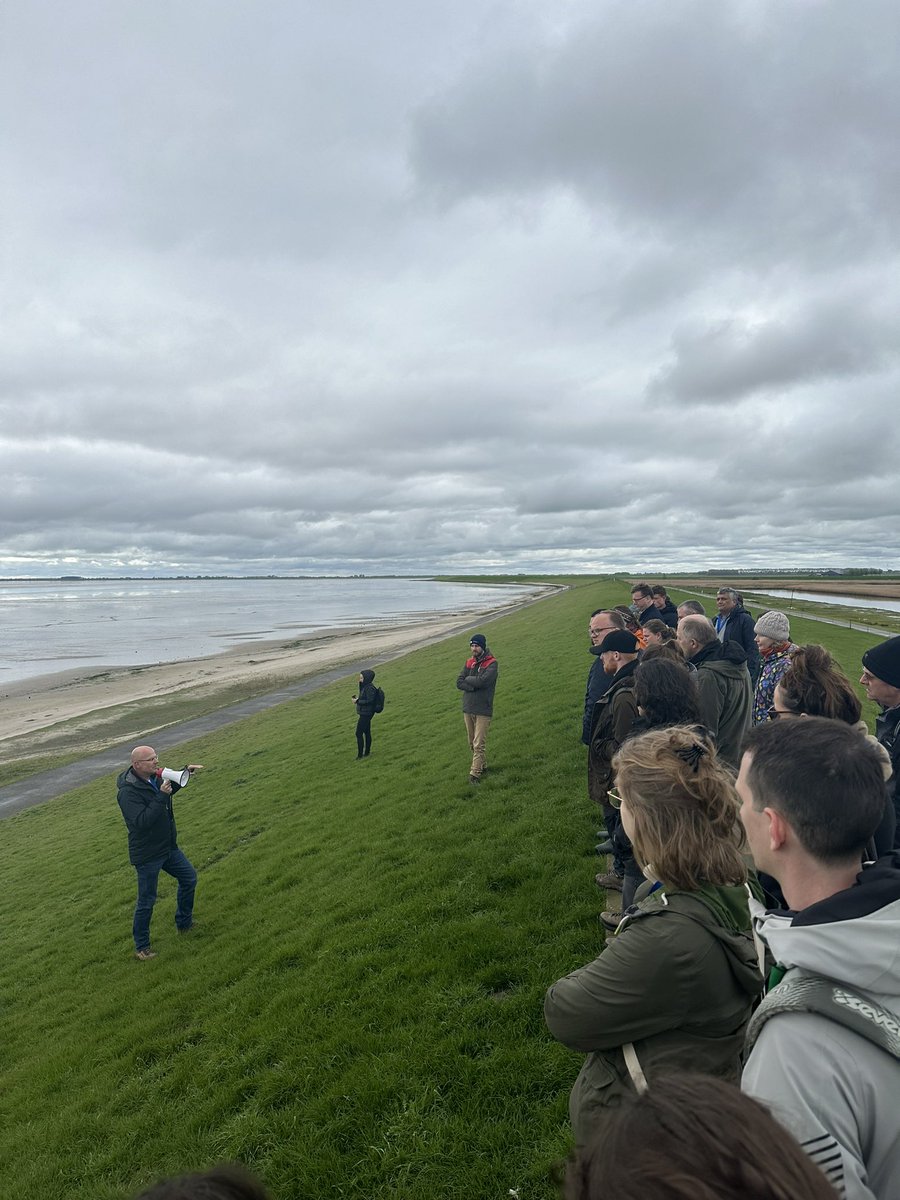 Great day in the field exploring the Action Site in 🇳🇱🇪🇺 @WAN_LIFEIP @WaterLANDS_EU @RESTCOAST_H2020