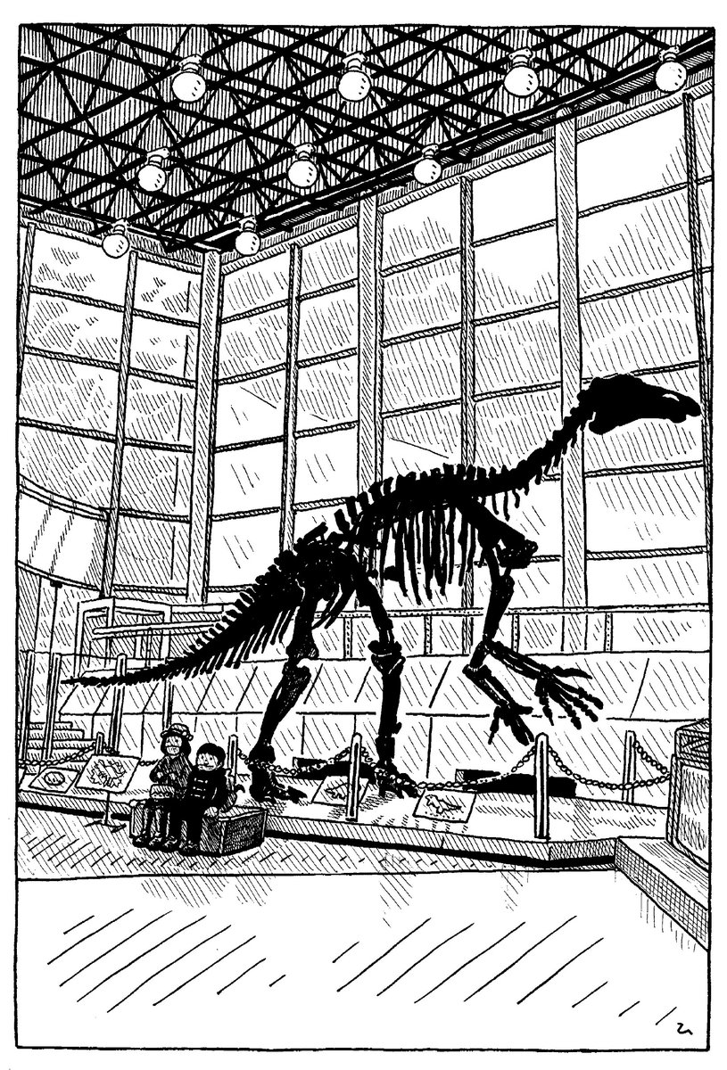 イグアノドンの全身骨格(岐阜県博物館)
 #恐竜の日 