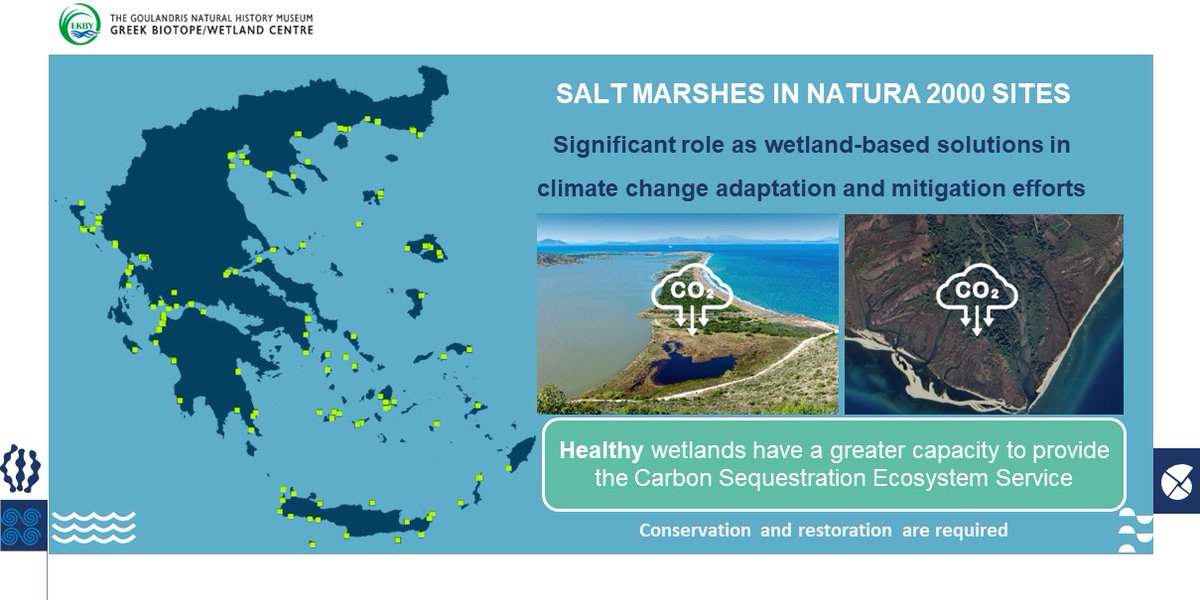 Join us today at 🕛12:00 on the @OurOceanGreece side event 'Achieving Marine & Coastal Resilience in the Context of #ClimateChange', to discuss the potential of salt marshes in responding to climate crisis #BlueCarbon

For details, check the agenda👉 ourocean2024.gov.gr/wp-content/upl…