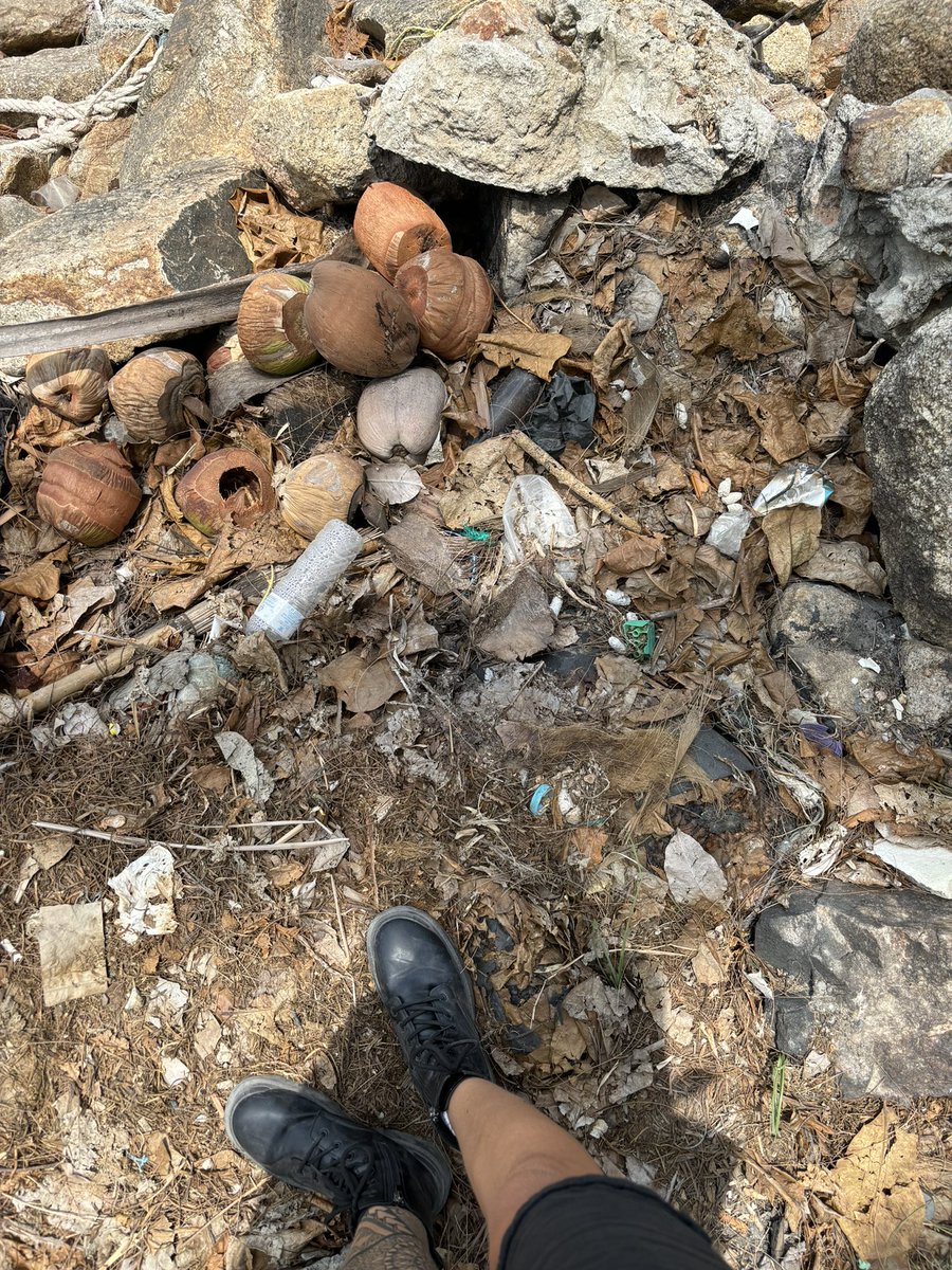DeCleanupNet's tweet photo. #touchplastic by @petgasmx 
N3

Today random cleanup in Chaloklum, the participant @luminaenvision has cleaned up a rocky area on the beach. A lot of trash found, tagged and uploaded on @OpenLitterMap 👍👏👌

@aquapurgeweb3 @PaulBurg_ @JamesMageeCCC join contest to win 500 $PGC https://t.co/LDye6RWKid