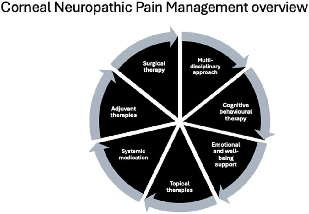 Neuropathic corneal pain is a growing concern. Existing knowledge can assist management in everyday practice. Clinical trials and registries will provide more data to enhance patient outcomes. Read #OpenAccess here: nature.com/articles/s4143… @profswatson #Ophthalmology #FOAMed