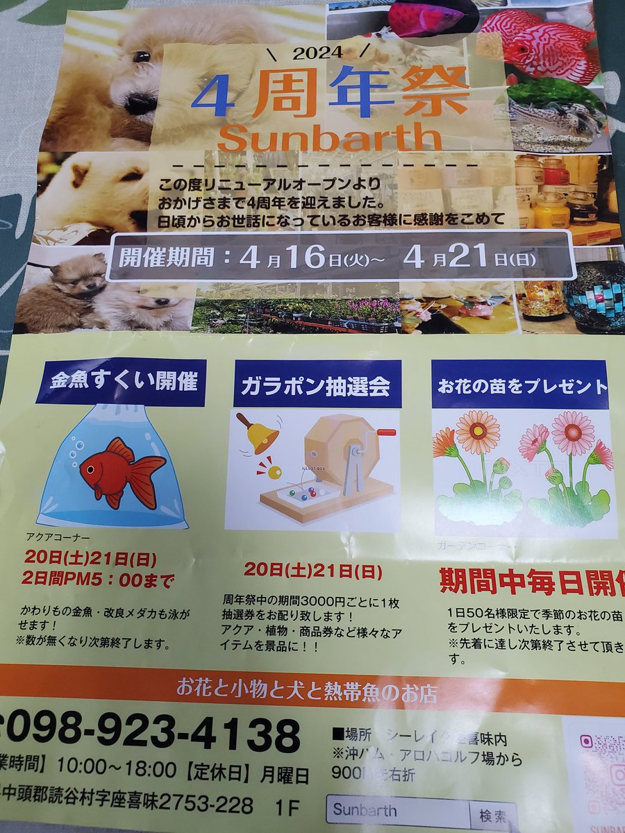 sarasar68329152's tweet photo. 真っ赤な アンスリウムが
我が家へ 仲間入り🤗
胡蝶蘭も めっちゃ安かったですよ。
#TLを花でいっぱいにしよう
#Sunbarth https://t.co/QB60iSbr0w