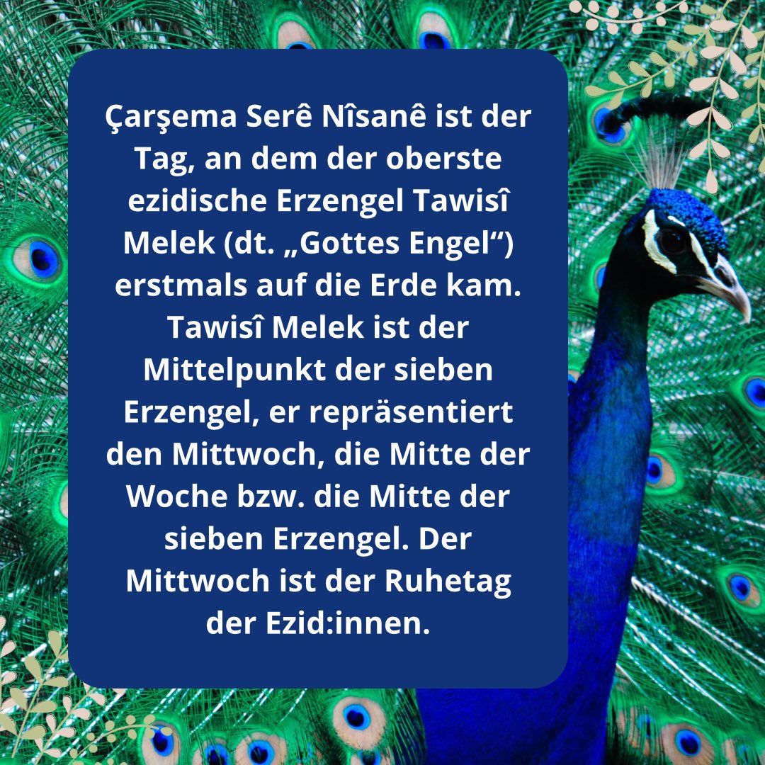 AvNikomedia's tweet photo. Çarşema Serê Nîsanê Pîroz Be! 🦚🌹🎉
Heute feiern ezidische Kurden das Neujahr. 🦚☀️
Happy new year to the Êzîdî!🦚☀️
#SersalaÊzîdî
#ÇarşemaSorPîrozBe #Lalash #Şengal #Shangal #ÇarşemaSor https://t.co/AWSiVwR5JP