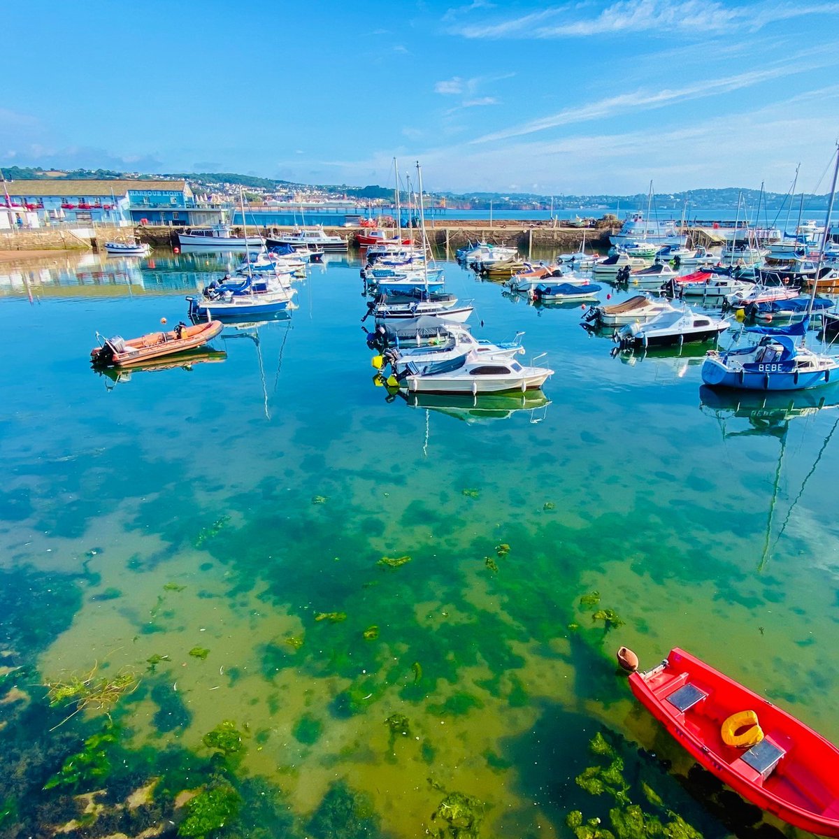 Sailing through the tides of beauty at Paignton harbour. ⛵ englishriviera.co.uk #spring #paignton #paigntonharbour #harbour