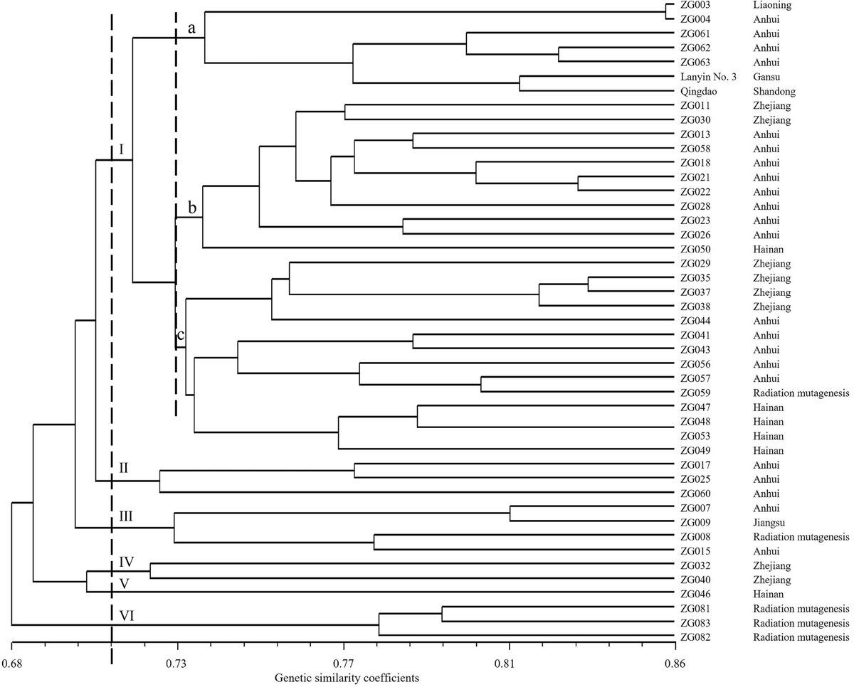 #GrassResearch #Genetics #PlantDiversity

Unlocking the genetic treasures of #Zoysia: A new study reveals the rich diversity hidden within 45 Chinese germplasm collections! 🔬📷

@GrassResearch 

Details: maxapress.com/article/doi/10…