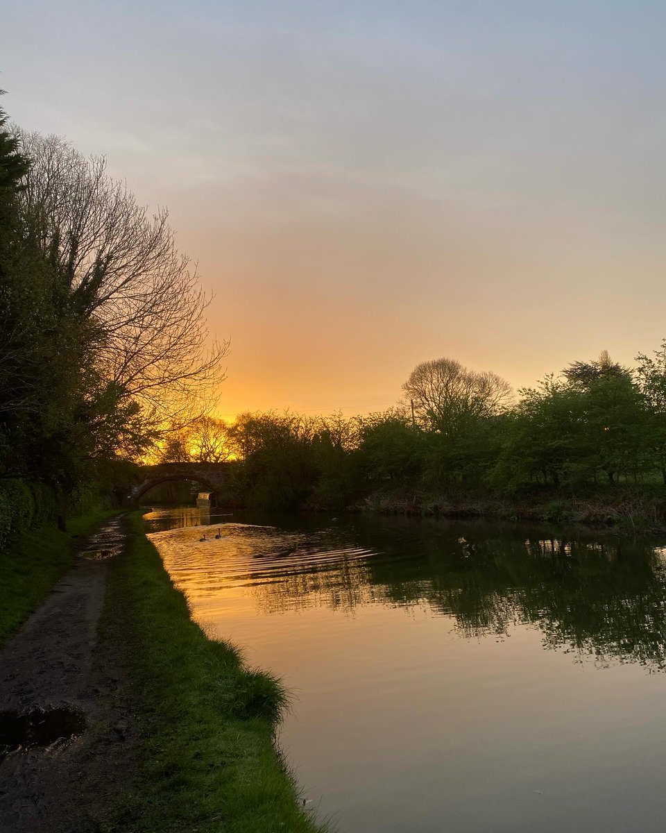 Up and out, a lovely morning, & it’s not raining! #dailywalk #timeinnature #wellbeing #canal #sunrise