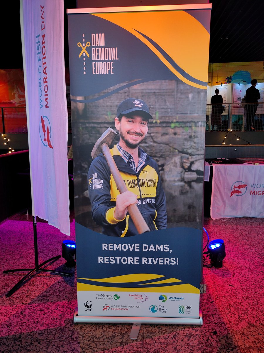 Olle Calles tweet media