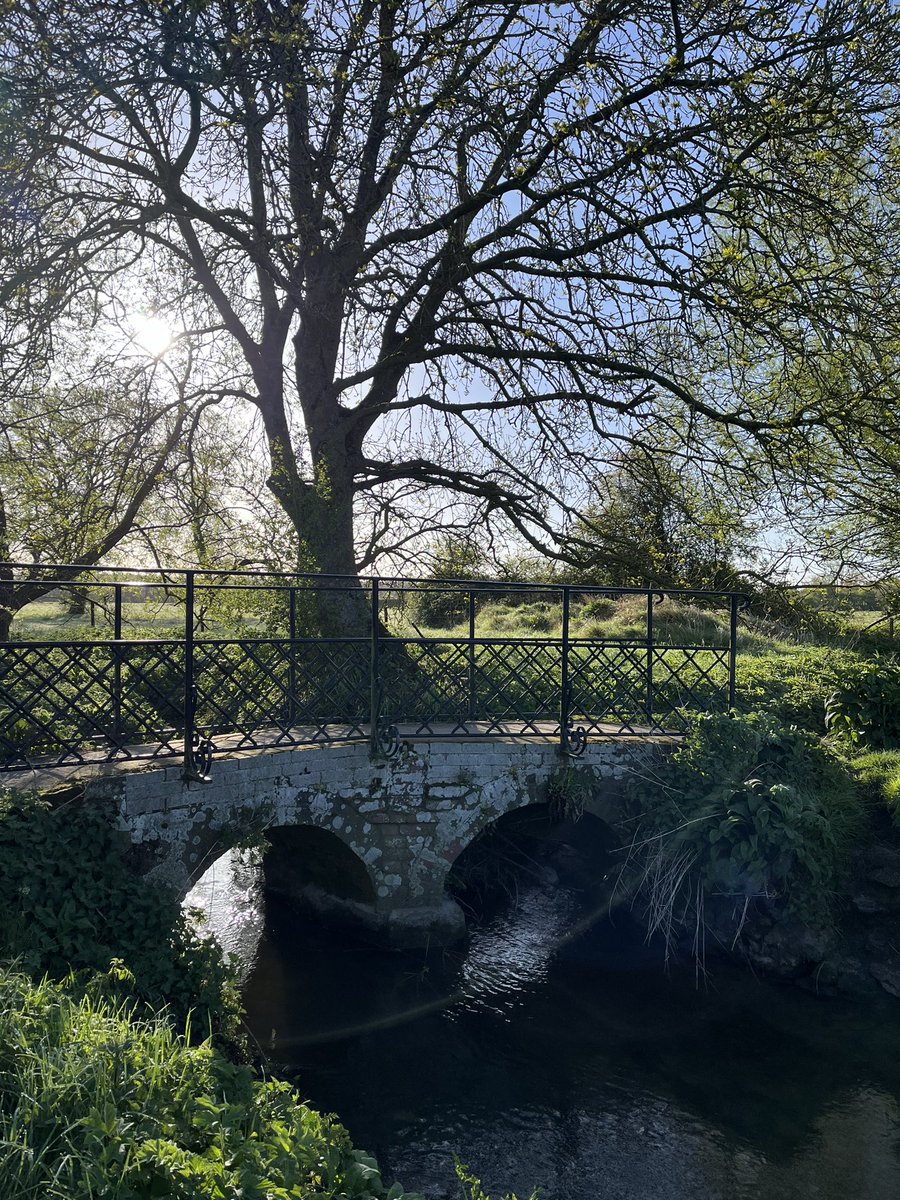 sheenasbit's tweet photo. My natural headspace cleaner #mothernatureatherbest #potterne #wiltshire https://t.co/hjYtqsfBWn