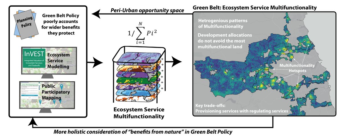 📢📜 Pleased to report by 4th PhD paper has been published in #EcosystemServices 🌳🚶‍♀️with @GeoMapperJo & @Prof_AJScott For the first time we quantified Ecosystem Service #multifunctionality and trade-offs in an English #GreenBelt and found.... 🧵(1/8) doi.org/10.1016/j.ecos…