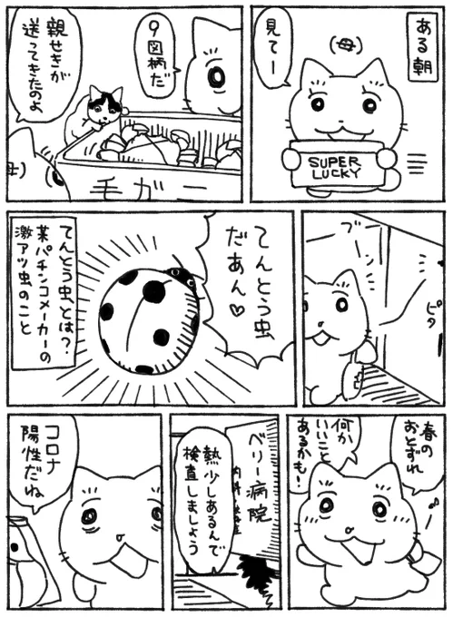 終わりの始まり 今はもう大丈夫です多分 