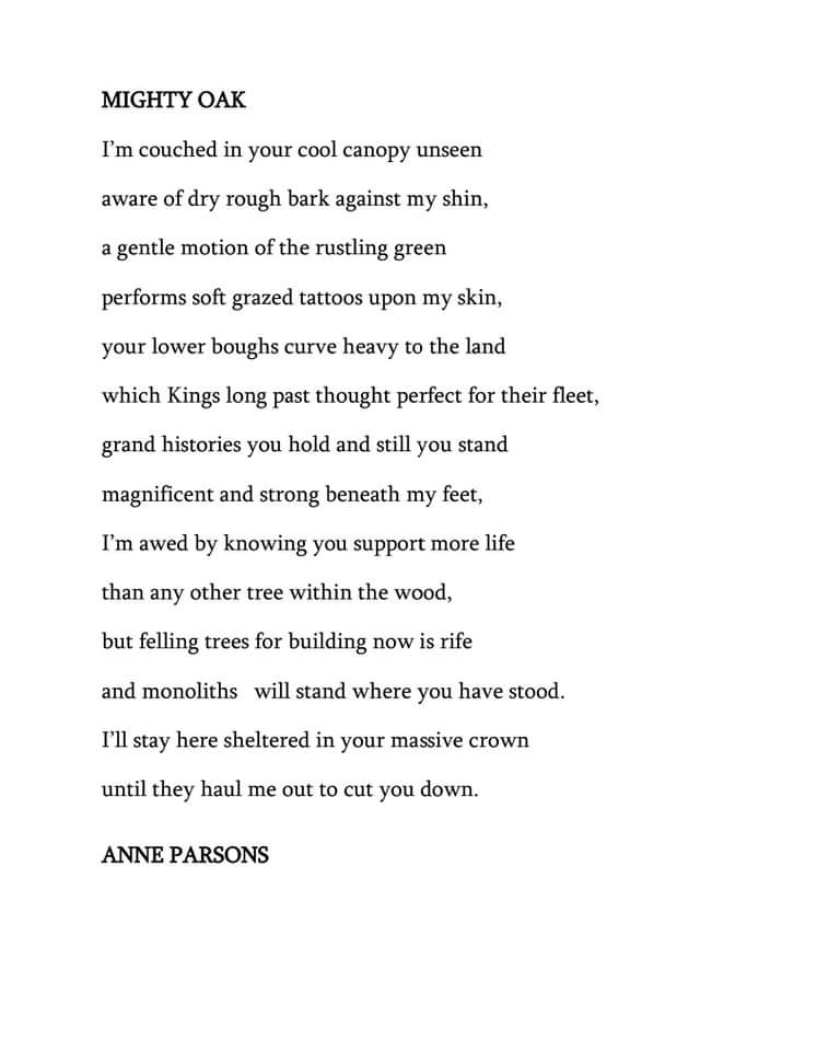 ⭐️⭐️Today's poem in the 'With One Voice' Poetry Challenge is 'Mighty Oak' by Anne Parsons. ⭐️⭐️

 #thisisnotgreenenergy #Notoconcretecoast #stopnationalgrid #suffolk #stopsubstation #stopspr #greenenergydoneright #poetrytwitter