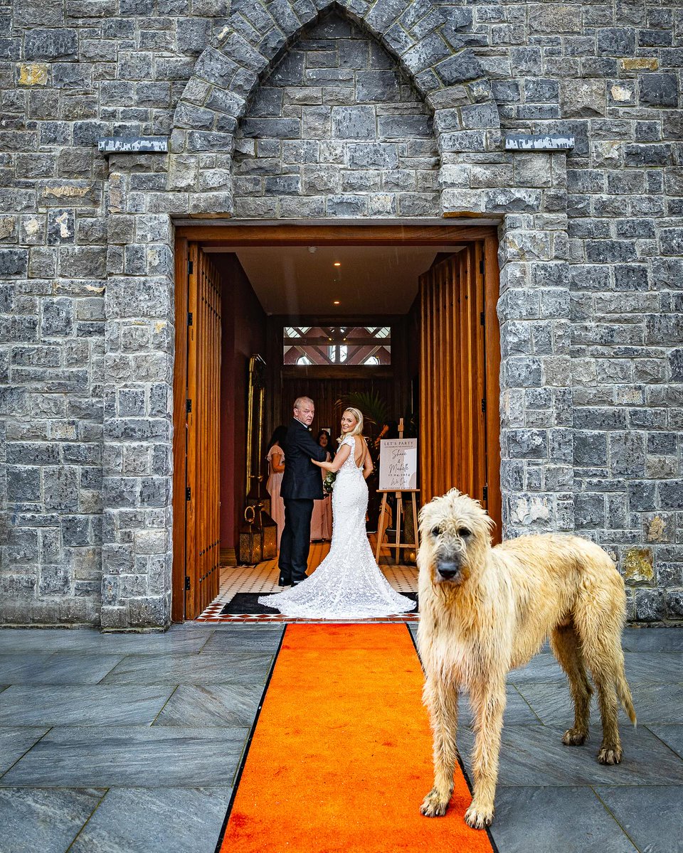 Ireland’s newest dedicated wedding venue, The Belfry, has gone down a treat since we opened it in March 🙌 Join us to celebrate your wedding day at The Belfry in 2025 by making an enquiry at: ballyseedecastle.com/weddings