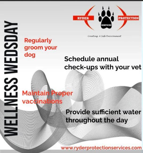 RyderProtectZim's tweet photo. Maintaining your dog's health with routine care is fundamental as far as meeting your dogs basic needs is concerned. Your dog's basic needs consist of nutritious food, water, treats, toys, good health and bedding.

#wellnesswednesday https://t.co/SLCzuEXlfW