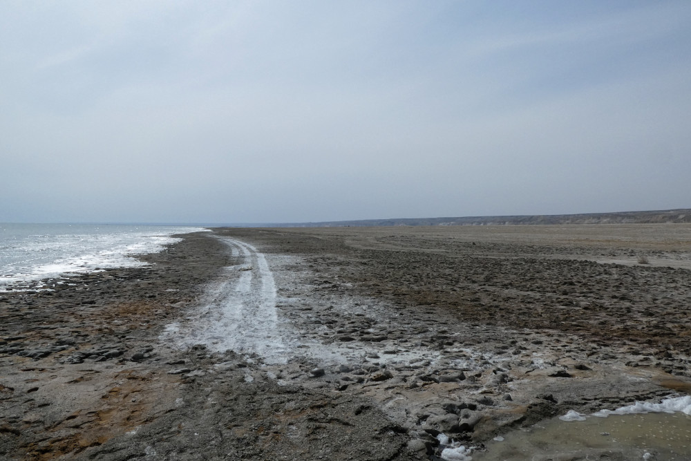 #Aralsea has made #CentralAsia much dustier. Study @TROPOS_eu & @FU_Berlin compares #dust emissions in 1980s & 2010s > tropos.de/en/current-iss… -- #climate_change @dfg_public @LeibnizWGL #COSMO-#MUSCAT #Climate #CADUC2 #ClimateChange #Asia #duststorms