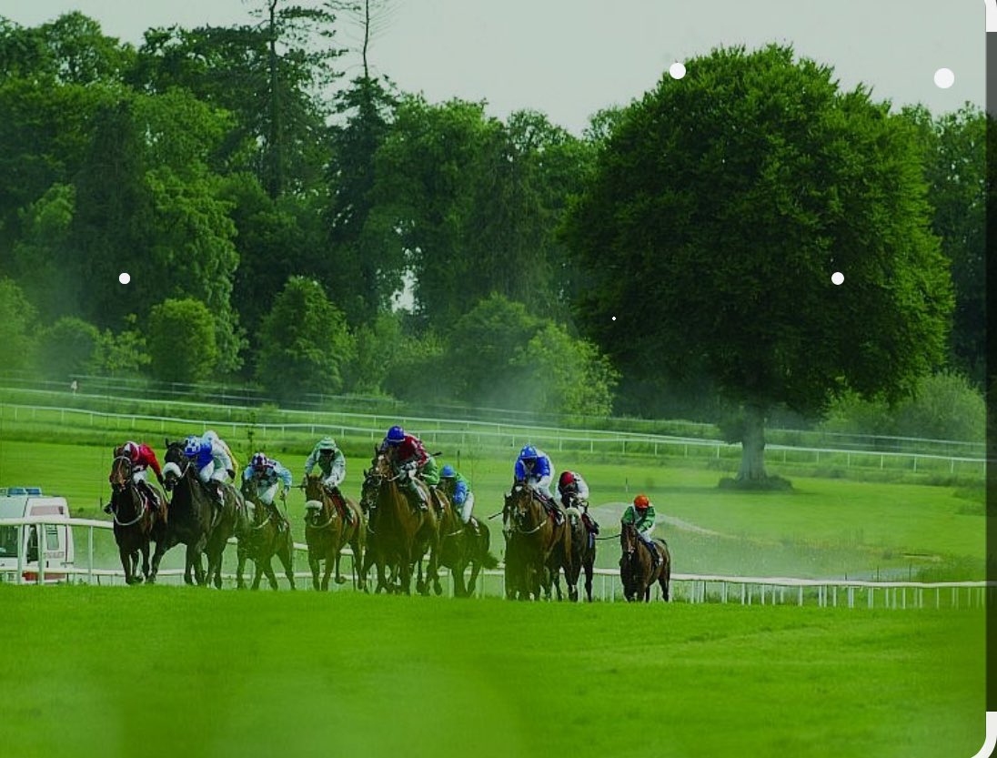 Racing Returns Tuesday and Wednesday next week 🙌 All Admission Tickets will be €10 !!! Yes €10 for both days👊 🎫 - gowranpark.ie 🐎 - First race 4pm both days 🚌- Free buses 3pm both days Get your heart racing at Gowran Park