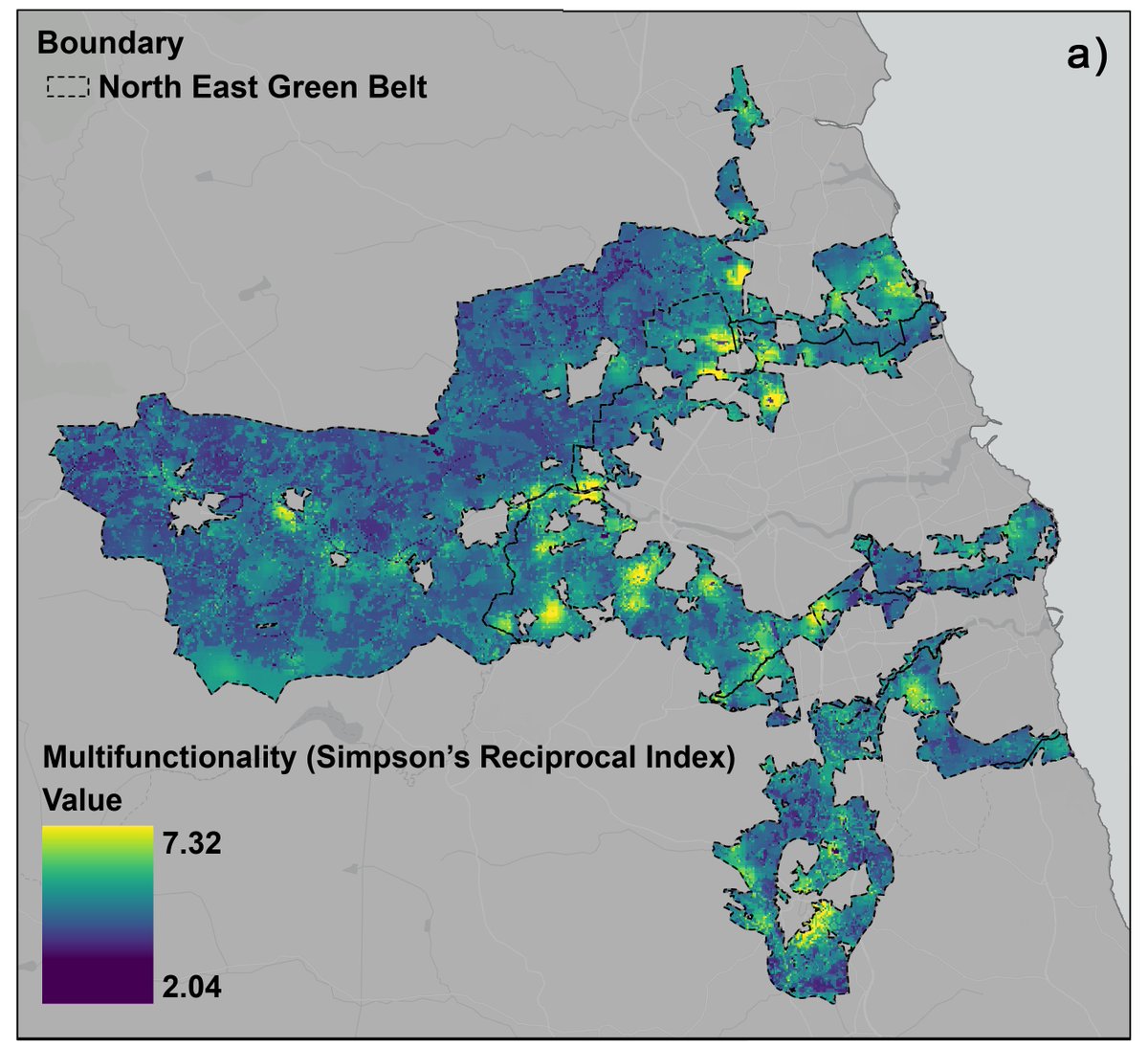 Contrary to popular claims that #GreenBelts provide neither social nor environmental benefits we found Green Belts do and can provide important #EcosystemService multifunctionality close to people 🧵(2/8)