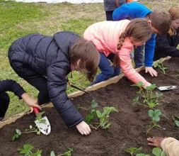 FREE Training available to #Sheffield primary & special schools 👇 WHAT: Food for Life Inspires! Practical approach to learning in the classroom &outdoors, covering cooking &growing WHEN: 2nd May WHERE: @ManorLodge HOW: DM or email eatsmartsheffield@learnsheffield.co.uk to book