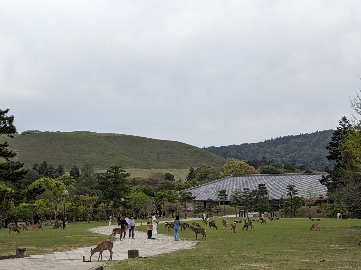 Nara