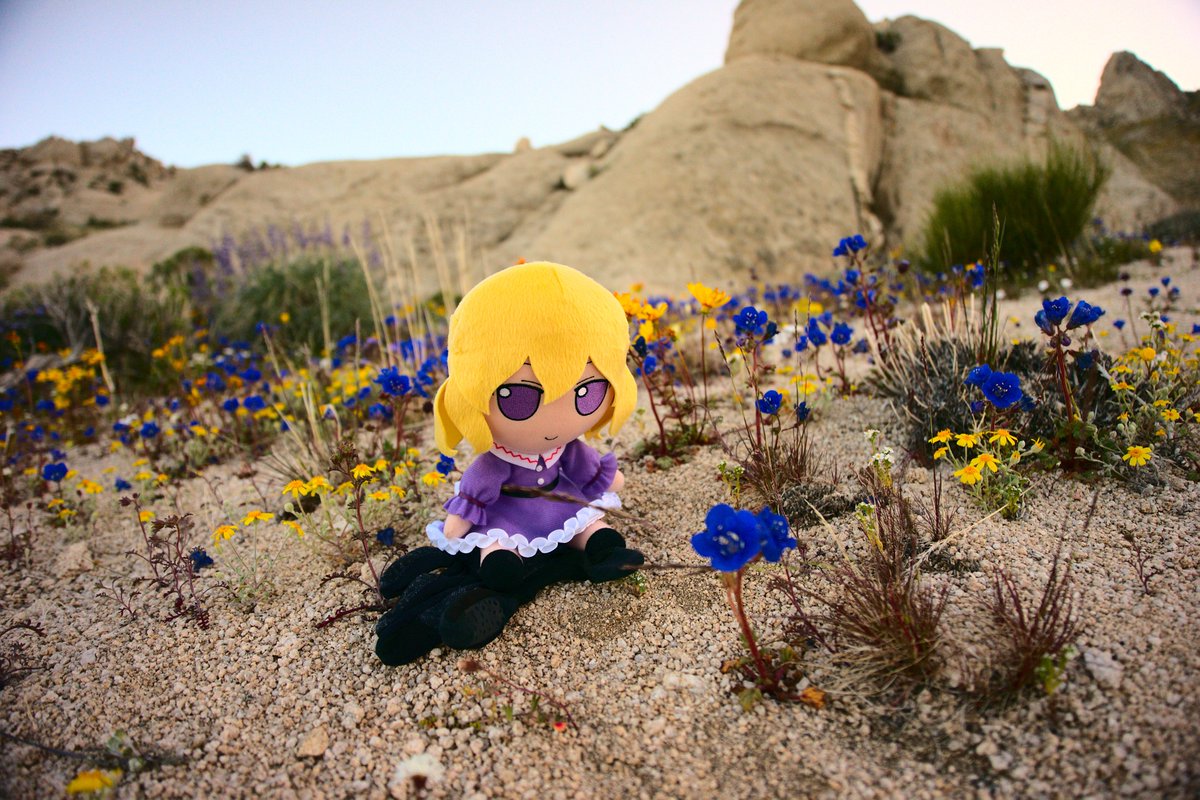 Rapid_Arthropod's tweet photo. Spring, but no hat https://t.co/sP6Oz5EEo0