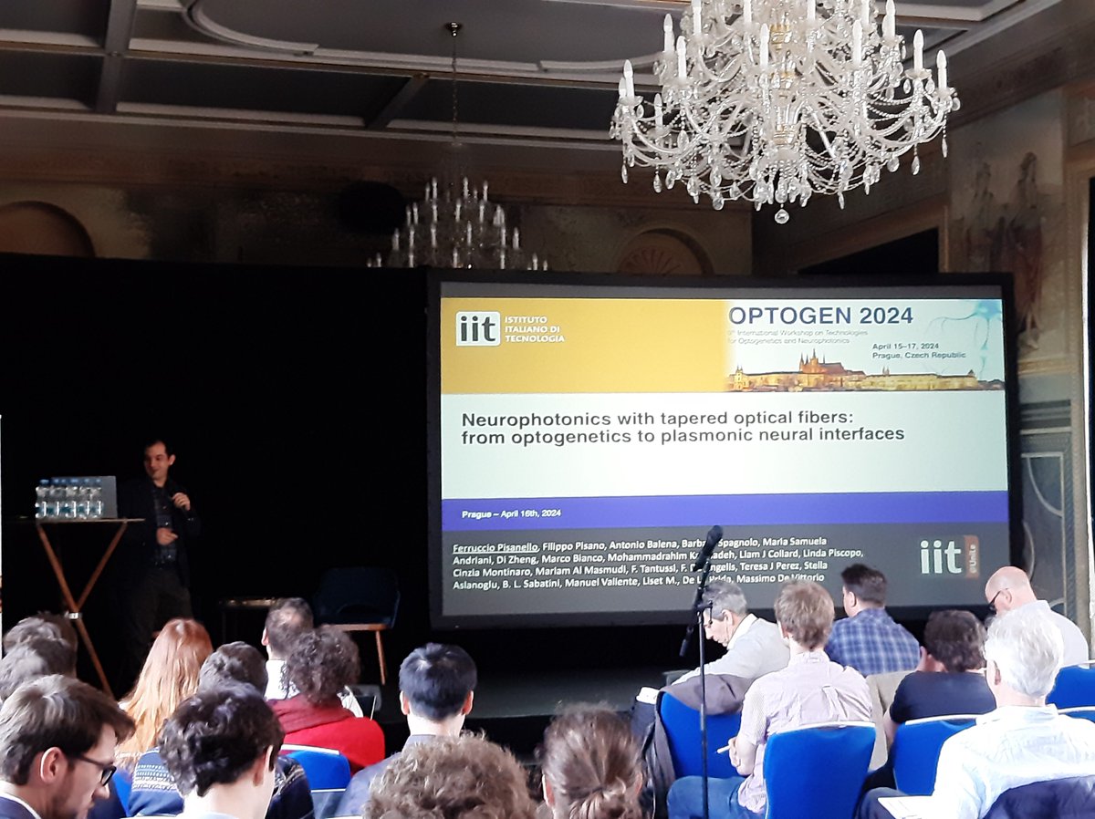eu_nanobright's tweet photo. @Ferruccio_PhC presented an invited talk: "Nanophotonics with tapered optical fibers: from optogenetics to plasmonics neural interfaces". Very interesting. @EUeic #Neurophotonics #Optogenetics https://t.co/2OARSbEoLe
