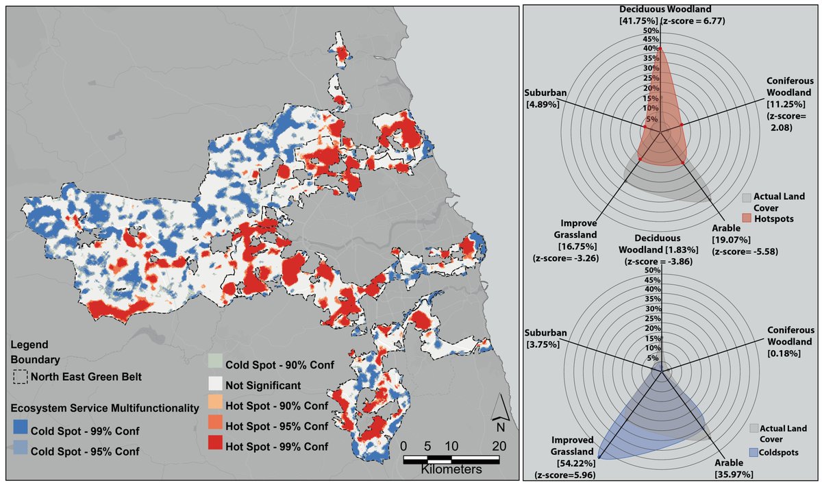 But  #EcosystemServices are heterogeneously supplied across Green Belt landscapes, and reveals statistically significant hot and cold spots of multifunctionality, with hotspot statistically significant in woodland 🌳🌲, and coldspot  in agricultural land covers 🌾🧵(3/8)