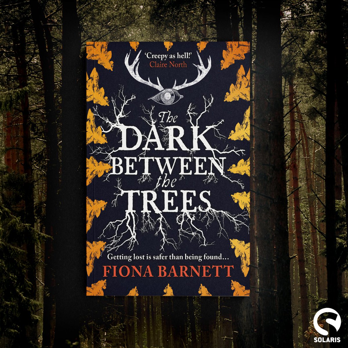 🌲 Don't get lost. 👁️ Pray you're not found. The gloriously foiled paperback of @stitchthisfiona's THE DARK BETWEEN THE TREES is out now! “Folk horror of the most classic kind, refreshed for the new century.” @esquire Buy here: geni.us/TheDarkBetween…