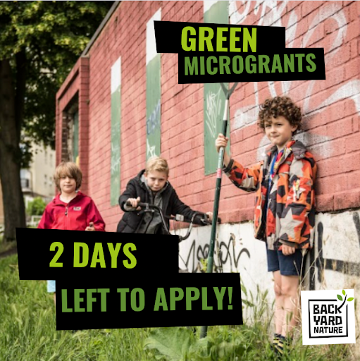 Only 2 days left to apply for our Green Microgrants! 😲 Together with @iwill_movement and @Clarion_Group we’re offering up to £1000 to get nature guardians, young and old, out in their local patch!🦋🐸🐛🐦 Find out more here ⬇️ backyardnature.org/intergeneratio…
