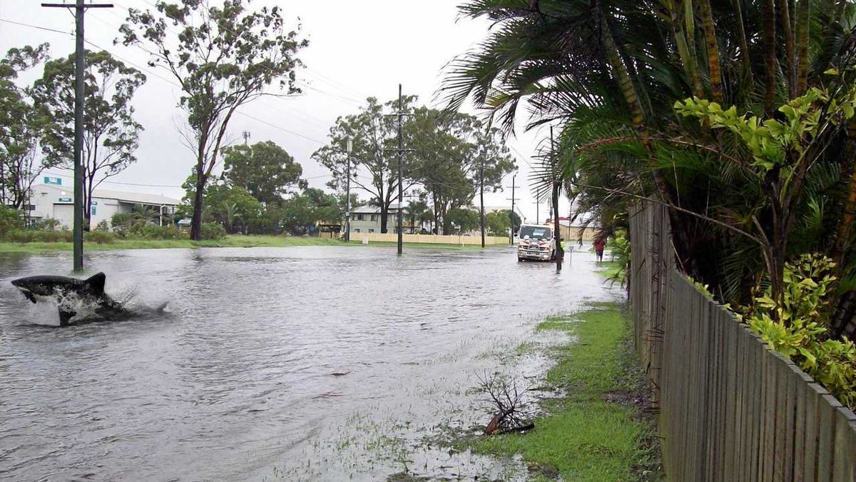 crypto whales and sharks on their way to #token2049dubai 😁
