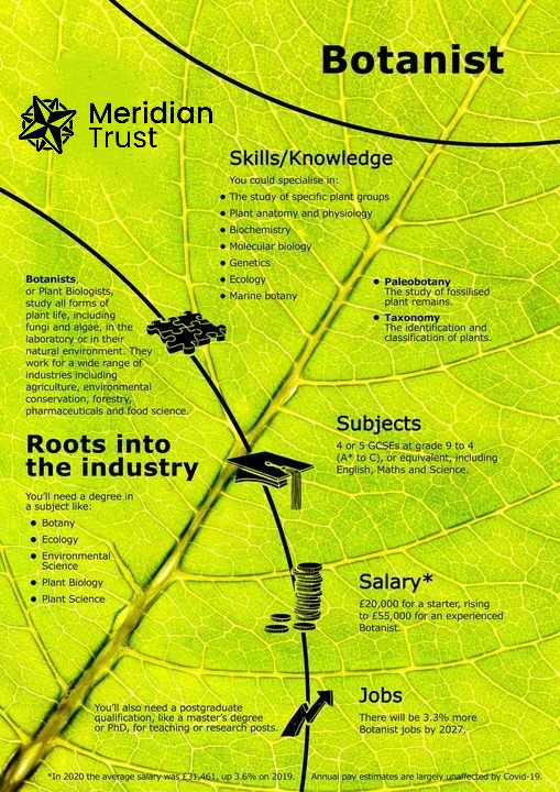 🌸 Spring is in the air! 🌼As flowers start to bloom and nature comes to life, let's celebrate the season of growth and new beginnings. 🌿Explore the beauty of plants and contribute to our understanding of the natural world as a botanist.#Spring #Botany #CareerGrowth"