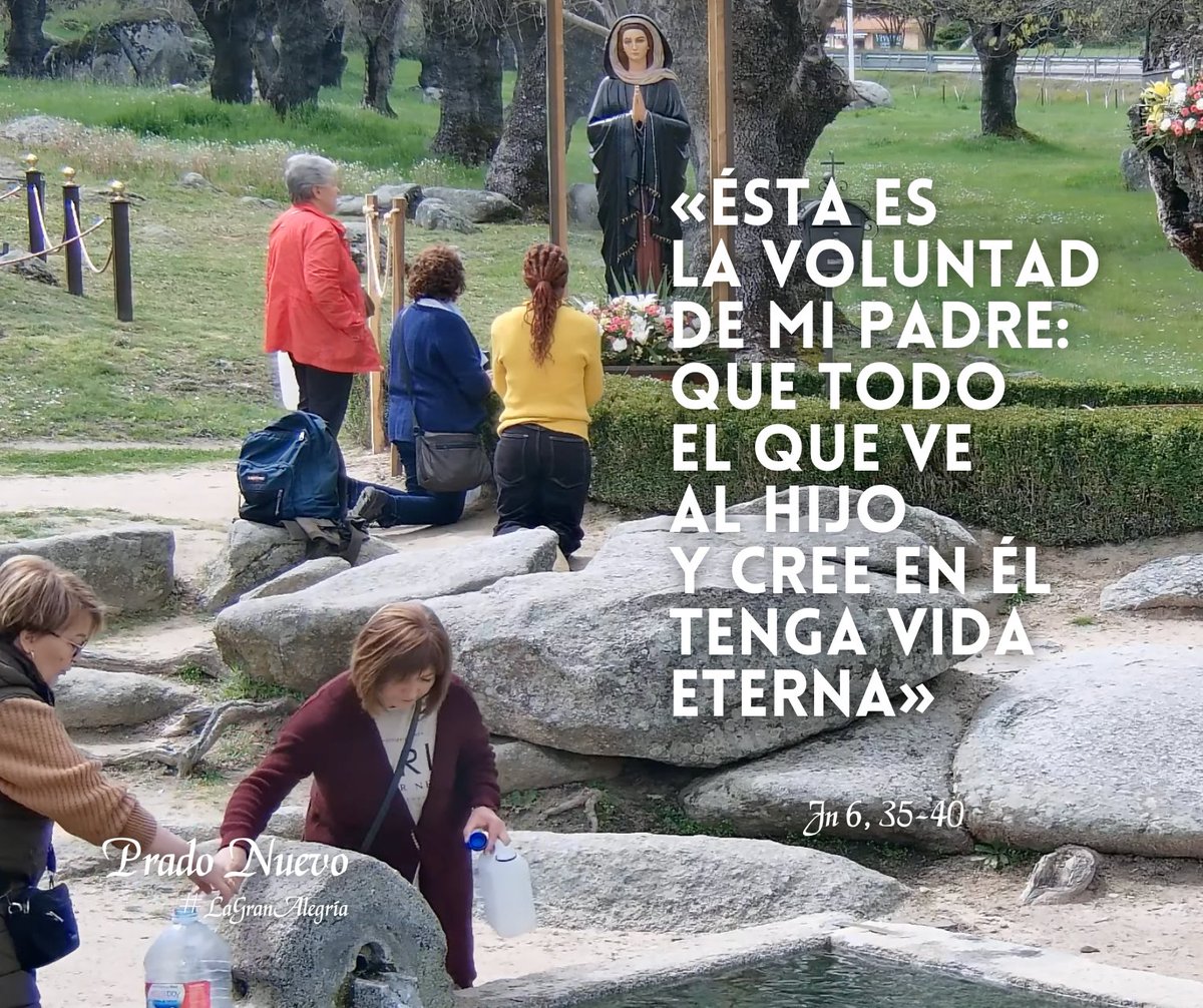 «Ésta es la voluntad de mi Padre: que todo el que ve al Hijo y cree en él tenga vida eterna, y yo lo resucitaré en el último día» (Jn 6, 35-40). 

#LagranAlegría.

#EvangeliodeHoy #EvangeliodelDía #Miércoles #17deAbril #Pascua #PradoNuevo #ElEscorial #Madrid