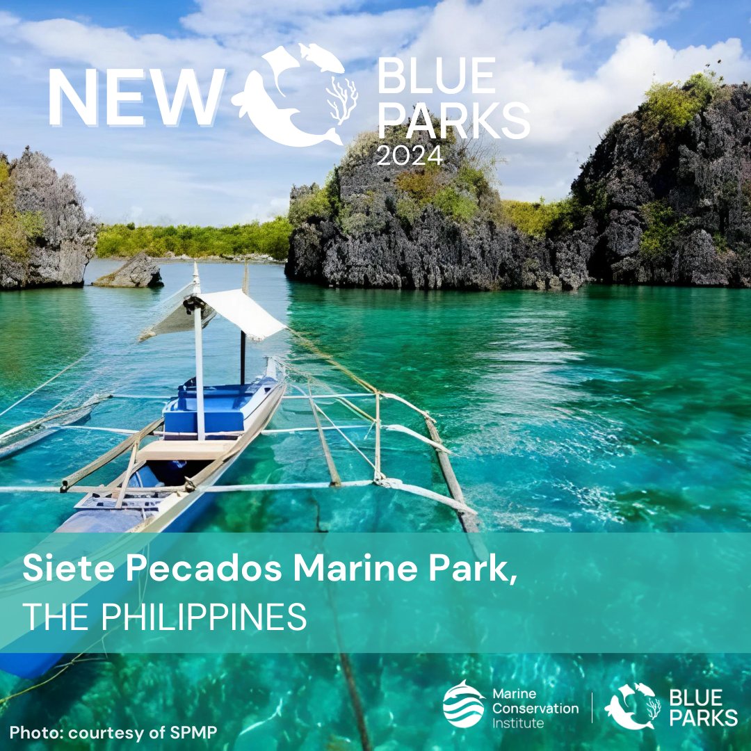 savingoceans's tweet photo. Congratulations to Siete Pecados Marine Park who earned a 2024 hashtag#BluePark Award! This coastal MPA protects vibrant coral reefs, seagrass beds, and mangrove forests, as well as a diversity of reef fish and other species! 

#BlueParks #SaveOurOcean #MPAtlas #OneOceanOnePlanet https://t.co/4tKXaggF7H