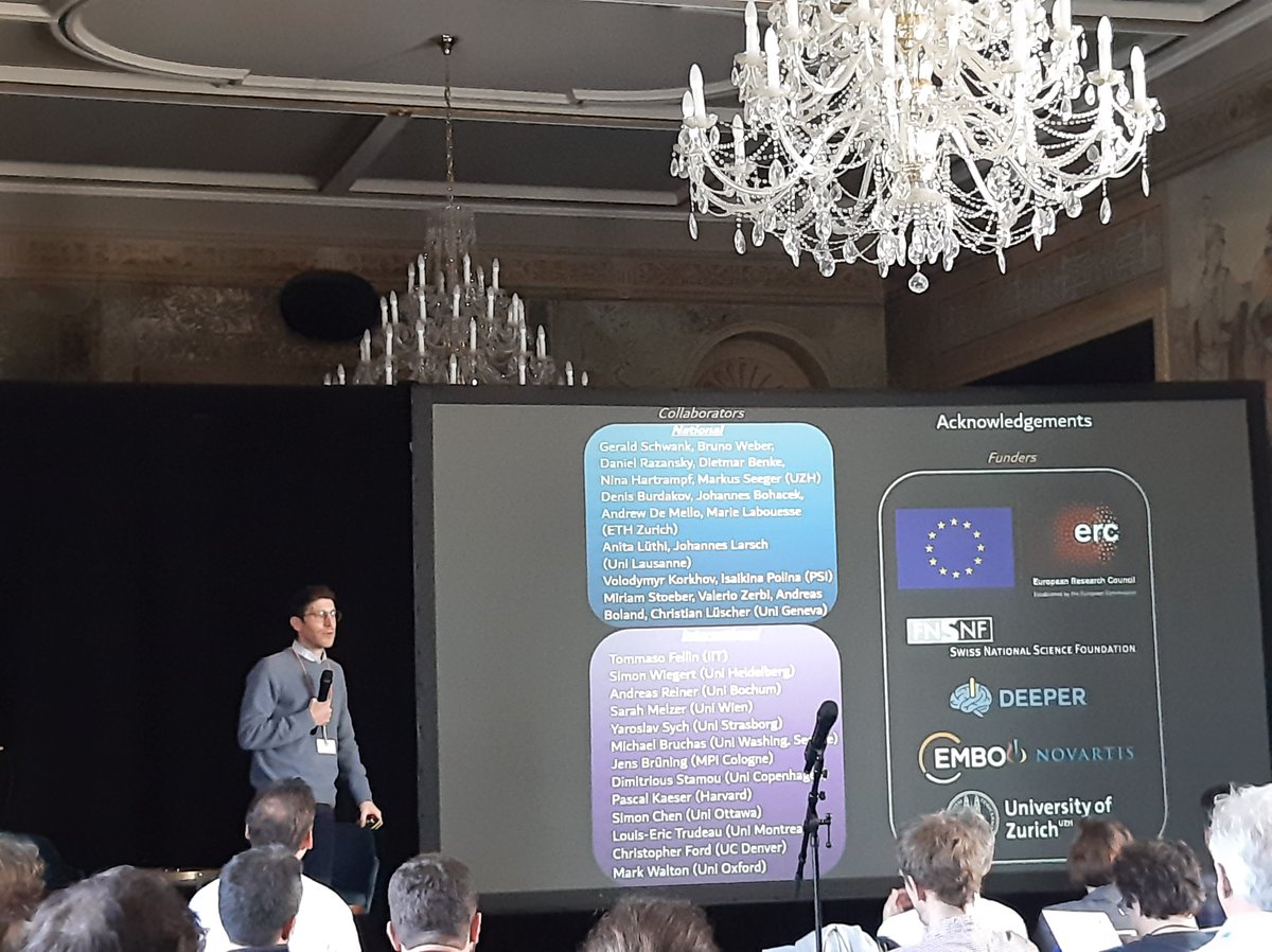 DEEPER_project tweet media