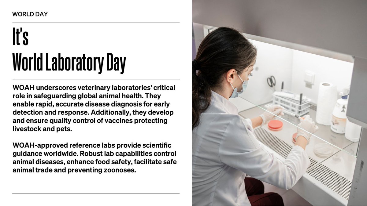 On #WorldLaboratoryDay, we celebrate the vital role of laboratories in protecting animal health globally. From disease diagnosis to #vaccine development, veterinary labs are essential for controlling animal diseases, ensuring #foodsafety & preventing #zoonoses.