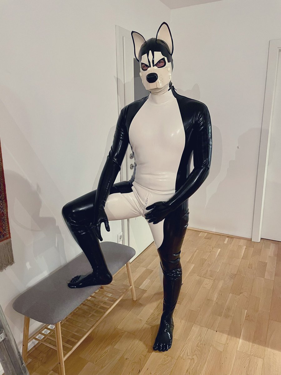 Kami 🔜 DWBerlin, Awoo tweet media