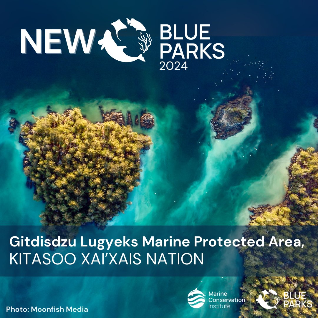 Congratulations to Gitdisdzu Lugyeks MPA, a 2024 #BluePark! Championed by the Kitasoo Xai’xais First Nation, this Indigenous-led MPA protects the ecological & cultural value of Kitasu Bay, vital to the Nation’s economy, health, and culture. @kxstewardship

#BlueParks #MPAtlas