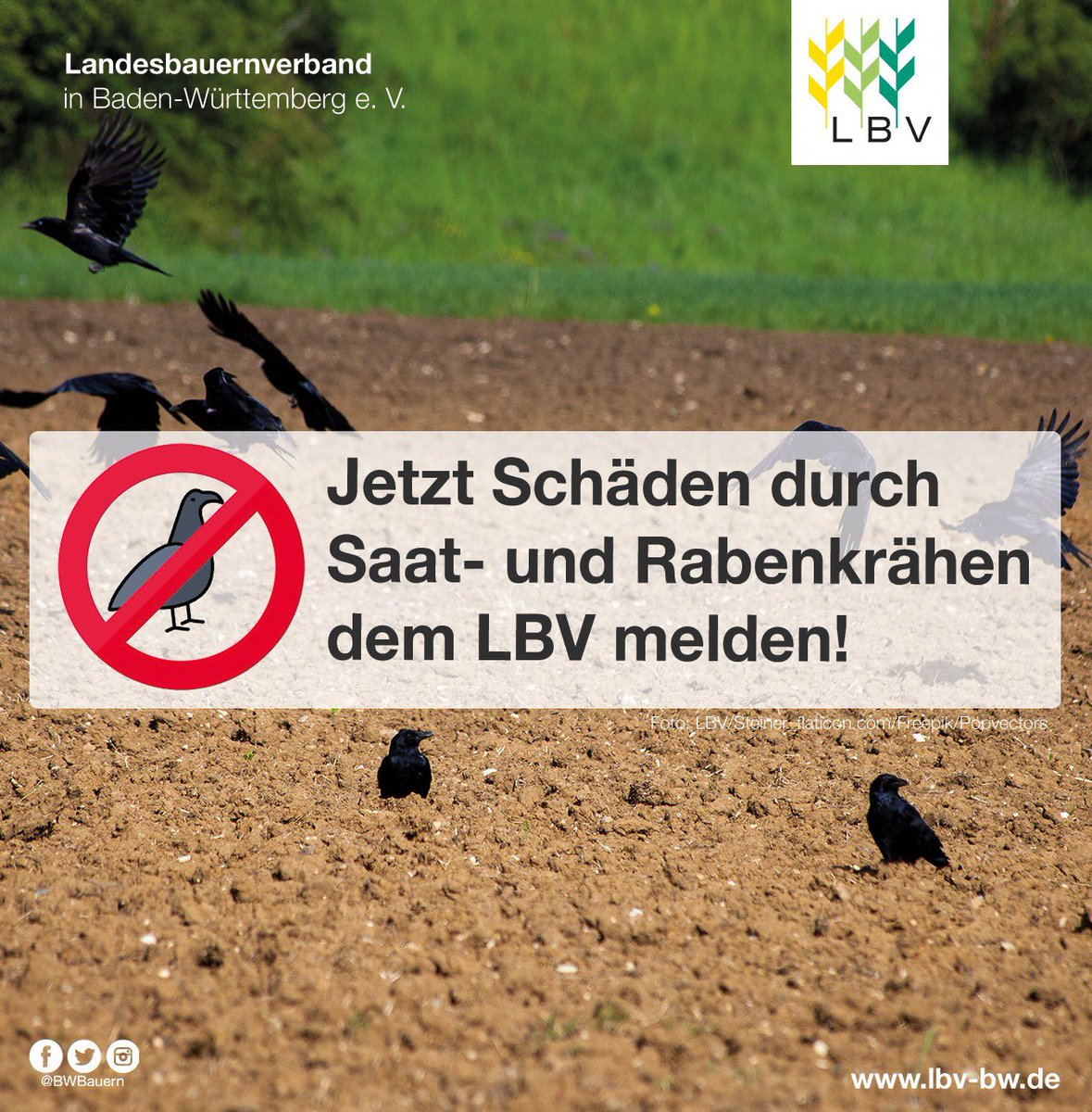 Landesbauernverband tweet media