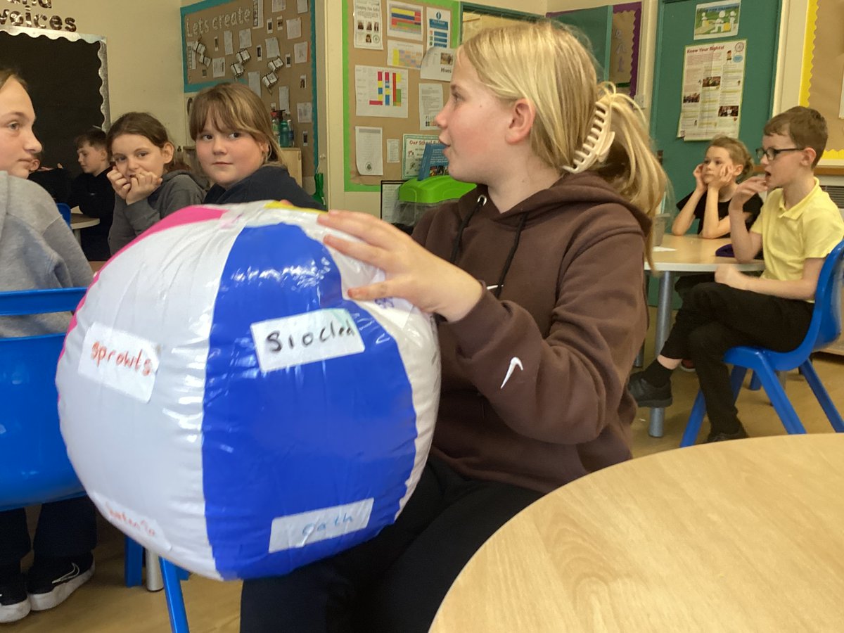 Dosbarth Gwenyn tweet media