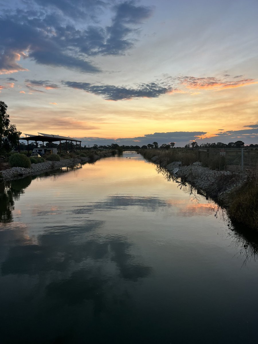 Di Bowles 🐄❤️ tweet media