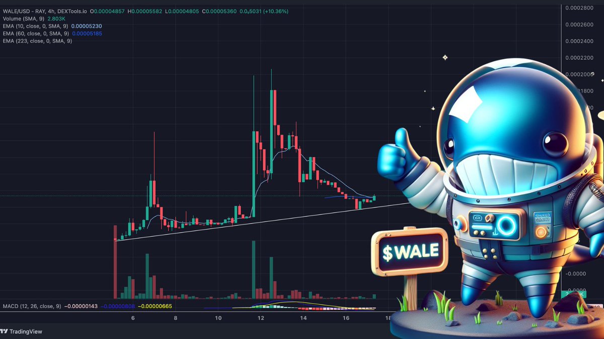SnoopDoggOG69's tweet photo. 🐳 $WALE, community took over this amazing new vision of #memecoin, donation roadmap set, chart looks healthy,  with 200k ath, people actually behind, environmental cause, send this to millions.
#NFA #DYOR @WaleOnSOL - Proud to made their new website! 👇🏽
https://t.co/O1PGk89dG9 https://t.co/fa58PZED9p