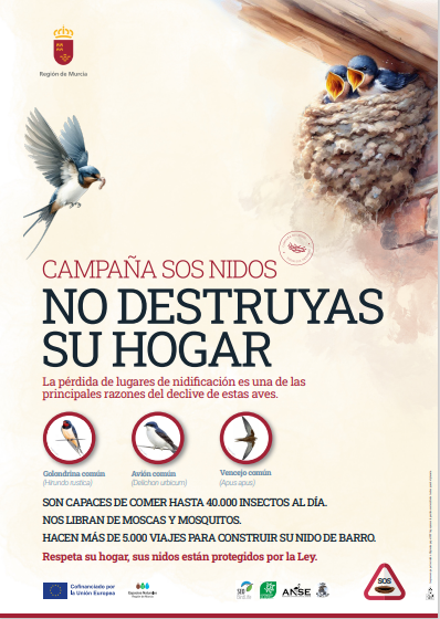 SierraLaPilaPR's tweet image. Los #Nidos de #Golondrina están protegidos por ley 👌

Su #Conservación es esencial para la supervivencia de estas especies 🪹

Este nido con entrada en forma de tubo es de #GolondrinaDáurica (𝘊𝘦𝘤𝘳𝘰𝘱𝘪𝘴 𝘥𝘢𝘶𝘳𝘪𝘤𝘢)

#SOSNidos #NoDestruyasSuHogar #SierraLaPilaPr