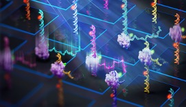 Sebastian Deindl tweet media