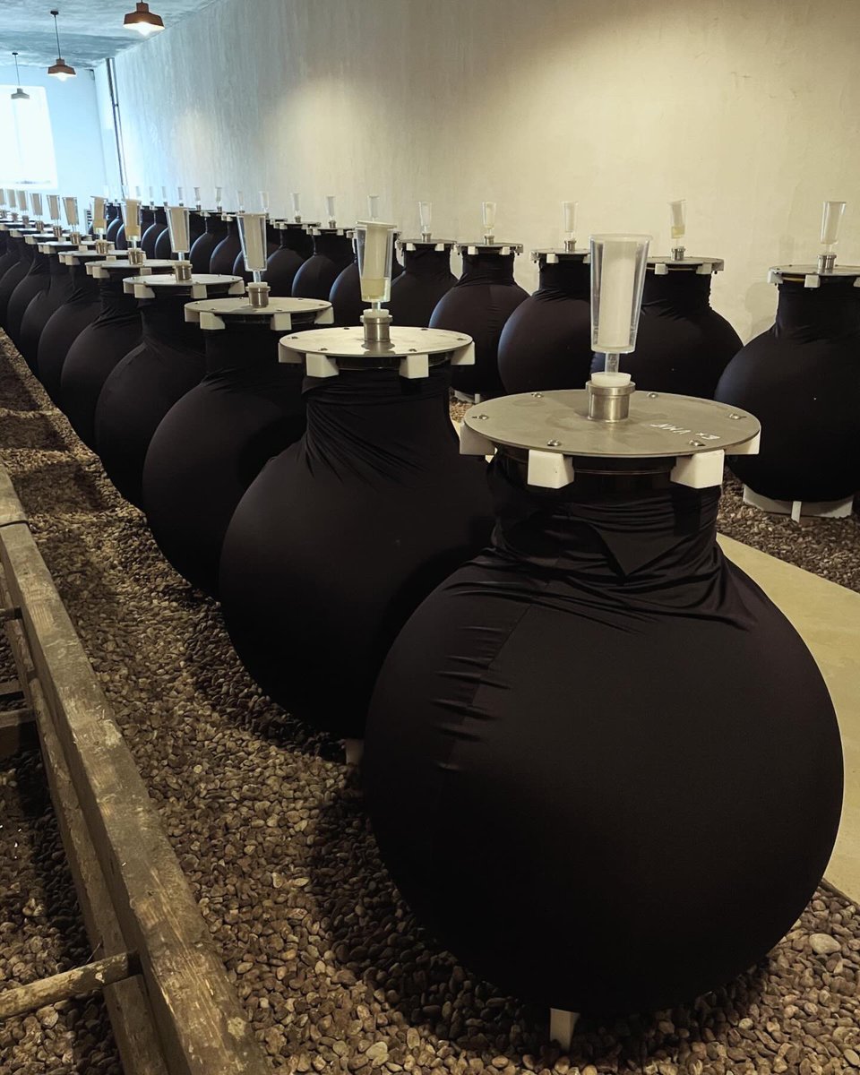 chriswinedoctor's tweet photo. The cellars at Climens look a bit different these days. Wine Globes everywhere (they still have barrels too, btw). A tasting would be from barrel, the only estate in Bordeaux to do that. Prepared blended sample the new norm though. #climens #chateauclimens #bdx23 #bdx2023 #wine https://t.co/CDnz5sbLir