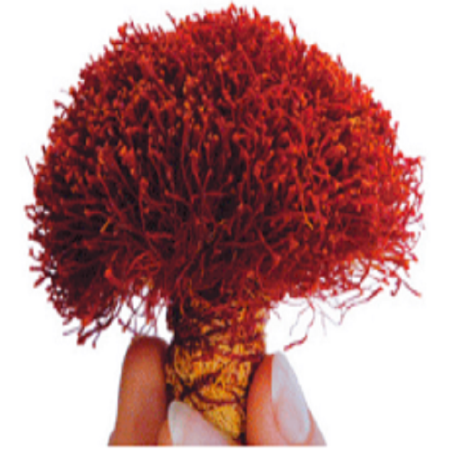 ArputhamExport's tweet photo. We export Saffron from India- Good Aroma and No Artificial Color Added.
Indulge in the rich aroma and vibrant color of our premium saffron sourced directly from India. Our saffron is carefully selected, with no artificial colors added, #Saffron #India #Natural #saffronexporter https://t.co/v1DeOw3uac