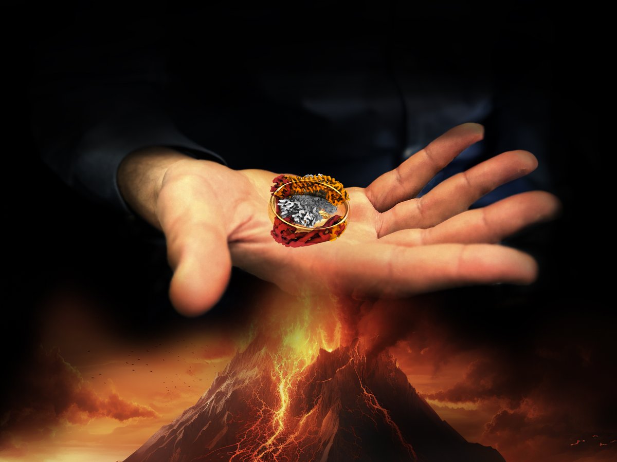 MPI Dortmund (@mpimoph) on Twitter photo "One Ring to rule them all": Researchers from the groups of @peterbieling & <a href="/Intein/">Stefan Raunser</a> <a href="/maxplanckpress/">Max Planck Society</a> unveil at the molecular level how ring-like formin proteins promote actin filament growth in cells.
➡️mpi-dortmund.mpg.de/en/news/how-ac… "One Ring to rule them all": Researchers from the groups of @peterbieling & <a href="/Intein/">Stefan Raunser</a> <a href="/maxplanckpress/">Max Planck Society</a> unveil at the molecular level how ring-like formin proteins promote actin filament growth in cells.
➡️mpi-dortmund.mpg.de/en/news/how-ac…