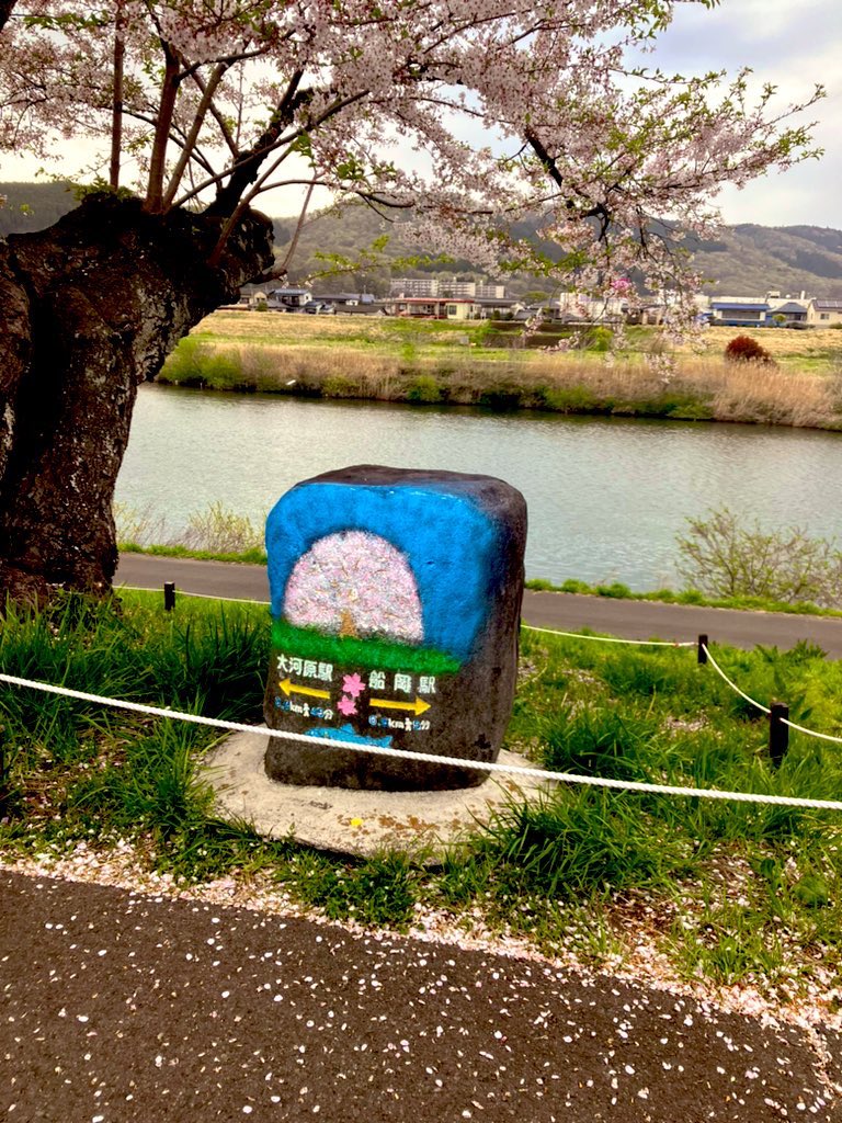 JOKER_ymt's tweet photo. #柴田
#船岡
#千本桜

#矢本
#スナック
#ジョーカー https://t.co/tnJX4clzzO