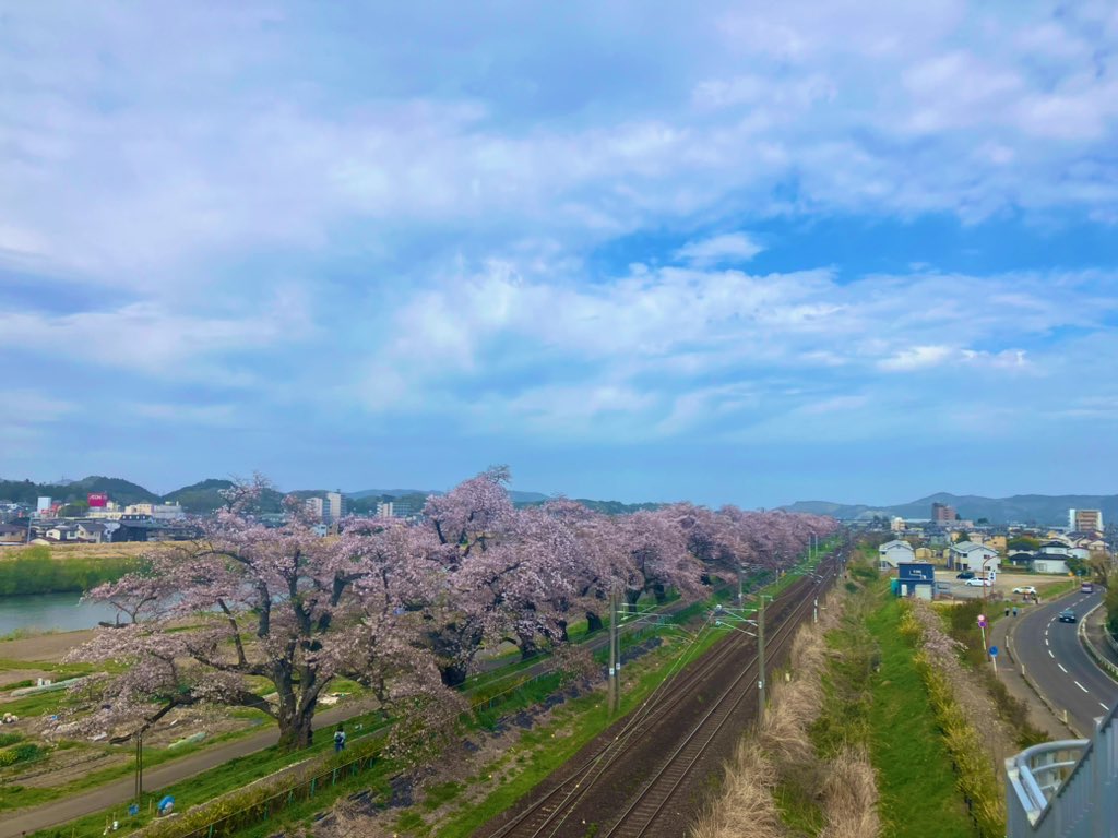 JOKER_ymt's tweet photo. #柴田
#船岡
#千本桜

#矢本
#スナック
#ジョーカー https://t.co/tnJX4clzzO
