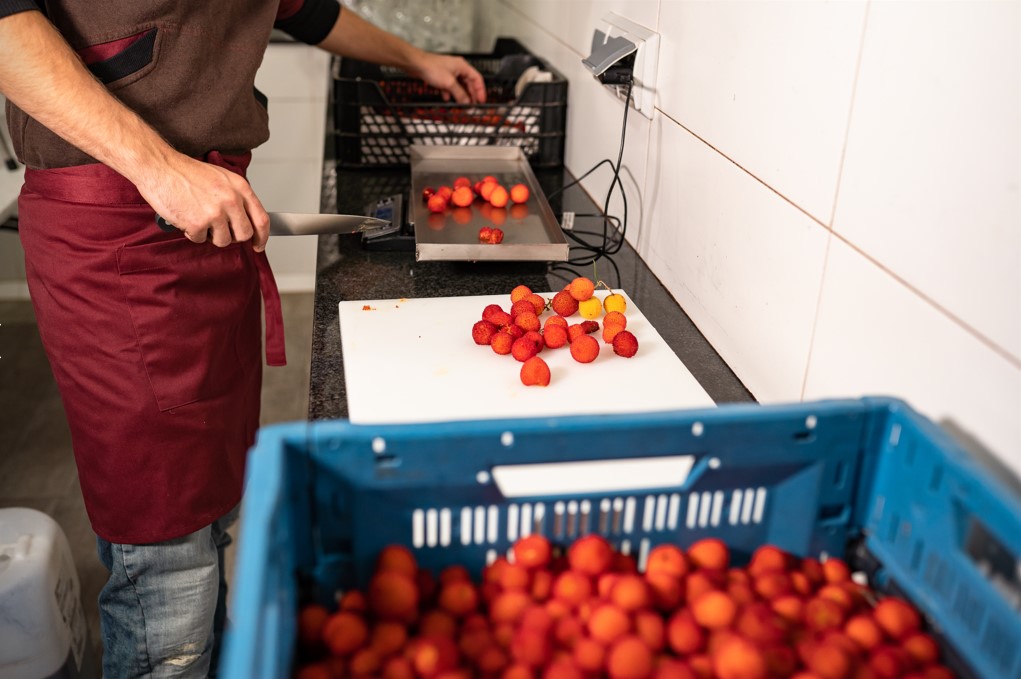 lasobiranacoop's tweet photo. Els obradors compartits agroalimentaris i amb visió agroecològica són crucials per contrarestar el despoblament de les àrees rurals. És aquí on sorgeix Ruralitats Comunitàries, un projecte que busca apropar aquests espais a la població  urbana. https://t.co/jmnh9ob9cm
