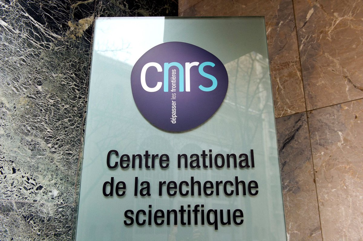 f_philippot's tweet photo. Incroyable !⤵️
4 ans plus tard, le @CNRS vient de publier sur son journal un entretien sidérant sur le covidisme en France, parlant « d’enfermement national », « d’une surveillance massive », « d’une expérience d’obéissance de masse », et cette conclusion : « l’Espagne a été le pays qui a connu la plus grave surmortalité, 40 %, alors qu’elle est aussi le pays qui a le plus confiné ses habitants… » !
(cf : https://t.co/TfLkd5kg2r)

➡️ Pour avoir dit et dénoncé tout ça, on a été diabolisé pendant des mois et des mois !

Pour être le seul mouvement politique français à avoir organisé de vastes manifestations populaires contre tout ça, on a été diffamé par le gouvernement et la quasi totalité de la classe politique et médiatique !

Et voilà ce qu’ils écrivent maintenant !

Il faut réparations pour les victimes, jugement de tous les responsables et s’assurer d’un « plus jamais ça ! » par l’interdiction constitutionnelle de toutes ces mesures liberticides !